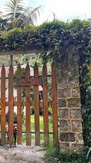 Colibrí Family Cabin in the Countryside - 1