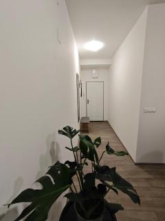 Green Residence Brno Center 2 ložnice Balkón - 2