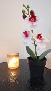 Park Road - Blackpool - 1