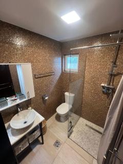 La Maison Kosta, Sfantu Gheorghe - 2