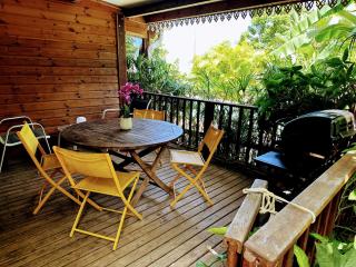 Gîte Allamanda 45m2, 2 à 4 Personnes, piscine et jardin tropical - 9