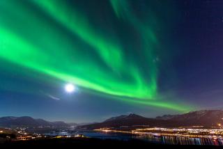 Geisla Apartments - 1