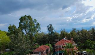 Elaris Haven - 6