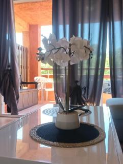 LES BULLES DE MONA - Marina Corse - 2 ch - Clim - Terrasse-pieds dans leau-plage - 0