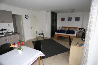 Ferienwohnung Rheingeschaut - 6