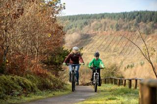 Afan Valley Aparthotel - Room 2 with Free Parking & WiFi for Contractor Stays - 2