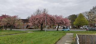 Self Catering and ensuite Rooms in South Lancaster - 5