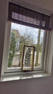 Beach & Dunes Bungalow with private garden and parking by NoordwijkMeer - 1