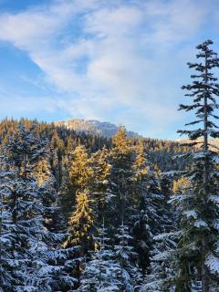 Black Arrow Chalet - 4