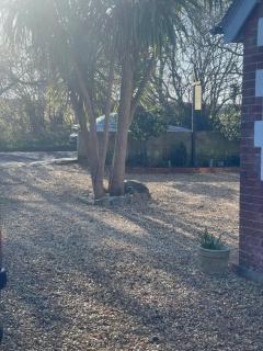 Godden Green B & B Guesthouse - 7