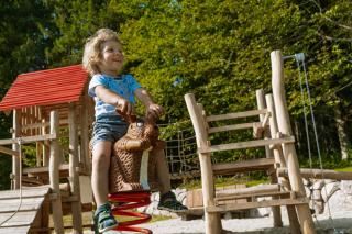 Schwarzwald Wellness Chalet - 1