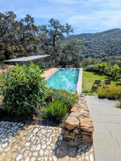 Finca Bravo - 5