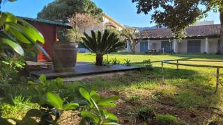 STUDIO Villa Maghjo CALVI CORSE PROCHE PLAGE - 4