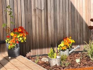 Tiny BlackandWood - 5