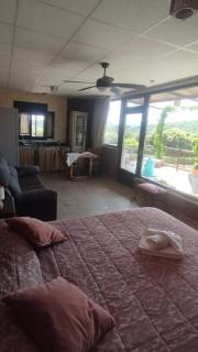 Finca Los Pajaros cerca de Puy du fou Toledo - 8