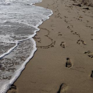 Los Angeles Iconic Ocean Front in Santa Monica - 3