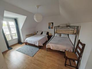 CHAP'S Résidence en centre ville 1 à 14 personnes - Sully-sur-Loire - 1