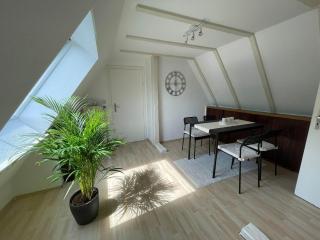 Rhein Apartman Rüsselsheim - 7