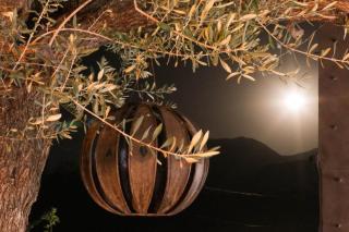 Auberge Les Sapins ouirgane - 0