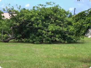 Petit Cachiman - T2 cosy pour 2 personnes à 200m de la mer - 1