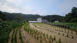 Gwangju Pension and Namhansanseong Art Hall - 3