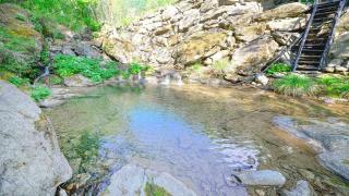 Gapyeong Dotori Pension - 1