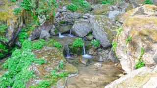 Gapyeong Dotori Pension - 2