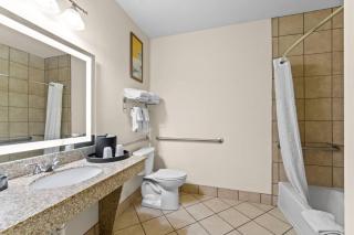 Comfort Suites San Antonio North - Stone Oak - 4