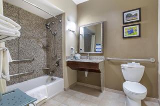 Comfort Suites Old Town Spring - 2