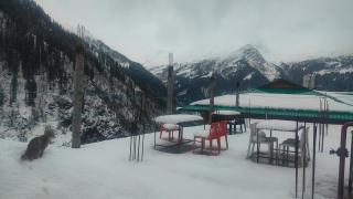 Cafe Wild Flower - Tosh - 9