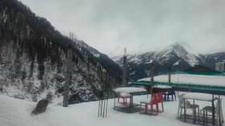 Cafe Wild Flower - Tosh - 6