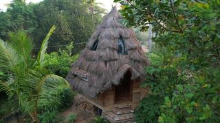 Tiny Temple Ayurvedic Retreat Center - 1