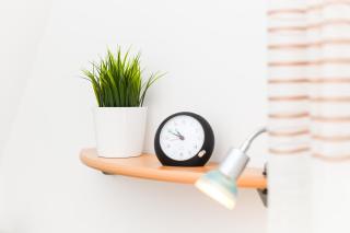 Ferienhaus Junker Balthasar - 8