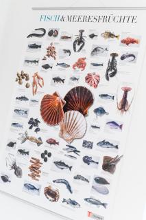 Ferienhaus Junker Balthasar - 7