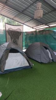 mountainview homestay - 0