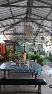 mountainview homestay - 1