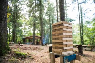 Exclusive Woodland Camp, Cornwall - 1
