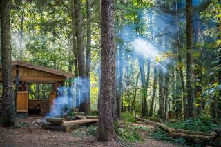 Exclusive Woodland Camp, Cornwall - 3