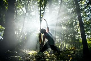 Exclusive Woodland Camp, Cornwall - 7