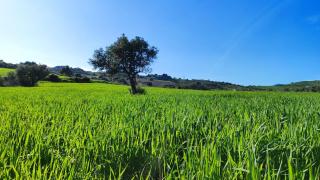 Countryside home Villa Luna with Private Yard & Jacuzzi - Alora - 3