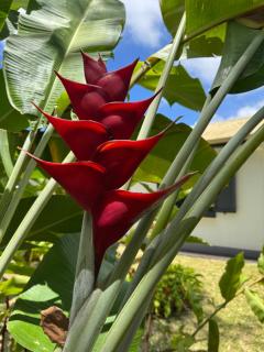 Villa St-Joseph, La Réunion - 6