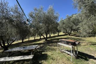 Agriturismo Il Vecchio Scornabecco - 5