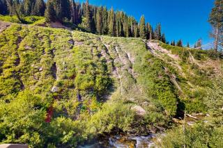 Iconic creekside mountain home with hot tub fireplaces balcony & amazing views - 8