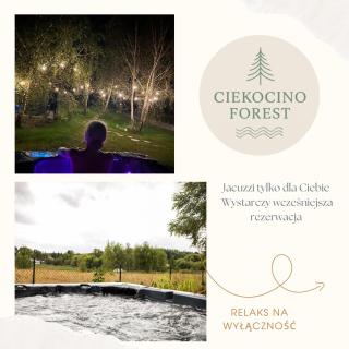 Ciekocino Forest Apartamenty nad morzem - 1