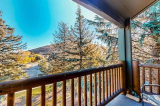 Condo close to ski lifts & Sundance Film Festival with fireplace & on-site hot tub - 9
