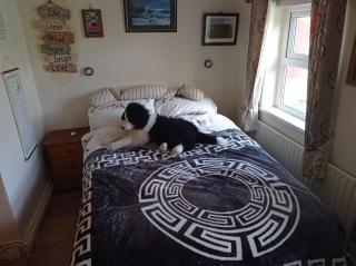 Traditional Cottage Co Mayo - 5