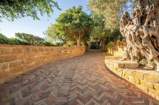 Il Giardinetto di San Marco - 9