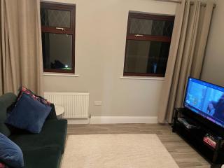 Newly renovated 1 bedroom apartment in Castlebar! - 2