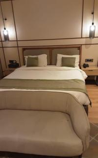 Ramee Collection Airport Road Mohali - 4