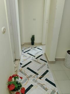 ارضى بجاردن مفروش بالشيخ زايد - 9